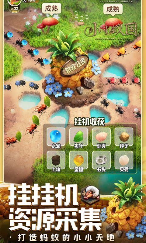 https://api.novayx.cn/static/uploads/20260321133451557.png