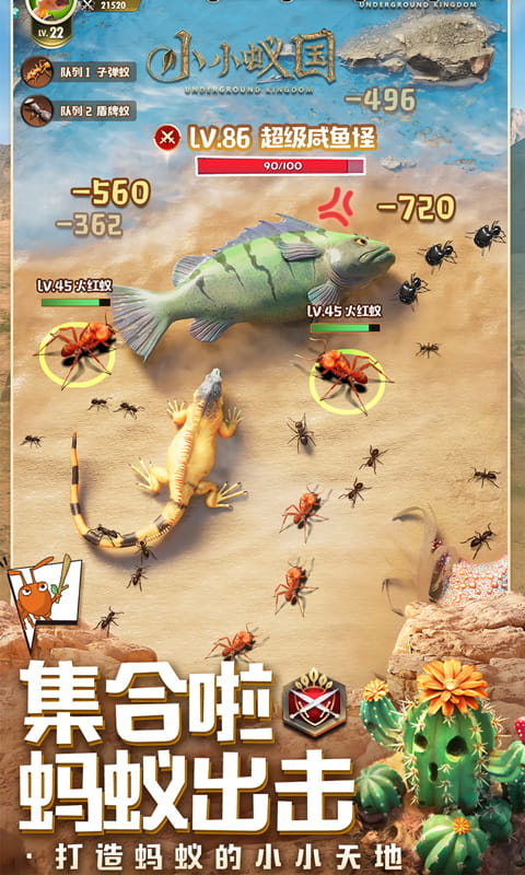https://api.novayx.cn/static/uploads/20260321133451863.png